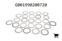 AGCO G001990200720 Комплект шайб