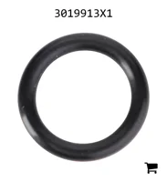 AGCO 3019913X1 Уплотнительное кольцо