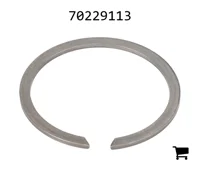 AGCO 70229113 Кольцо