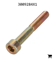 AGCO 3009284X1 Винт с цилиндрической головкой и шестигранным углублением