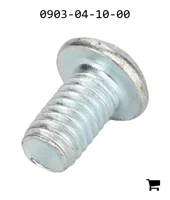 AGCO 0903-04-10-00 Винт