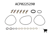 AGCO ACP0225290 Ремкомплект