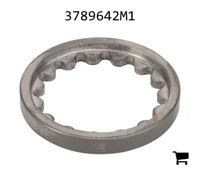 AGCO 3789642M1 Шайба