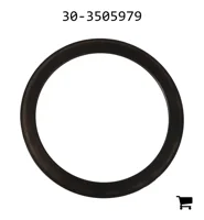 AGCO 30-3505979 Шайба