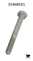 AGCO 354605X1 Болт