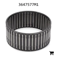 AGCO 3647577M1 Игольчатый роликовый подшипник