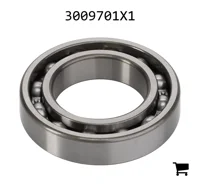 AGCO 3009701X1 Шариковый подшипник