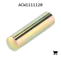 AGCO ACW1111120 Палец вилки