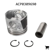 AGCO ACP0309690 Комплект поршня