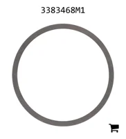 AGCO 3383468M1 Регулировочная шайба