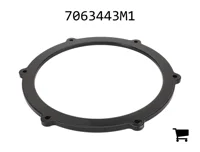 AGCO 7063443M1 Кольцо