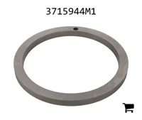 AGCO 3715944M1 Шайба