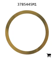 AGCO 3785445M1 Регулировочная шайба