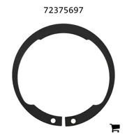 AGCO 72375697 Стопорная шайба