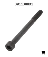 AGCO 3011388X1 Винт с цилиндрической головкой и шестигранным углублением