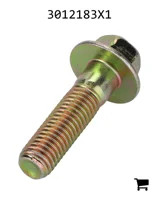 AGCO 3012183X1 Болт с шестигранной головкой и фланцем