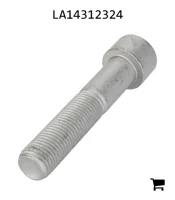 AGCO LA14312324 Винт с шестигранной головкой