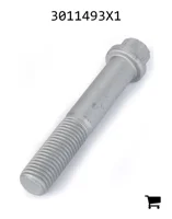 AGCO 3011493X1 Винт с 12-гранной головкой с фланцем