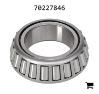 AGCO 70227846 Конический роликовый подшипник (конус)