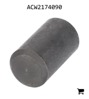 AGCO ACW2174090 Штифт