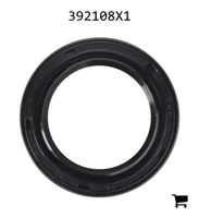 AGCO 392108X1 Радиальное уплотнительное кольцо передней оси
