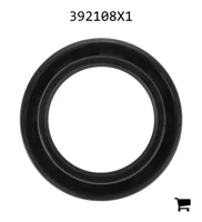 AGCO 392108X1 Радиальное уплотнительное кольцо передней оси