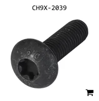 AGCO CH9X-2039 Винт с головкой Torx