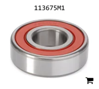 AGCO 113675M1 Шариковый подшипник