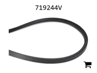AGCO 719244V Ремень клиновой