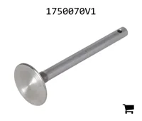 AGCO 1750070V1 Клапан