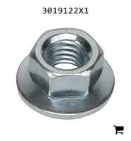 AGCO 3019122X1 Шестигранная гайка с фланцем
