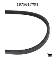 AGCO 1075017M91 Комплект ремней