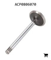 AGCO ACP0806070 Впускной клапан