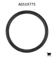 AGCO AG519775 Уплотнительное кольцо