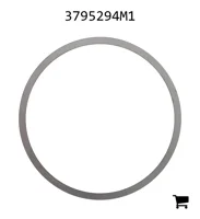 AGCO 3795294M1 Шайба