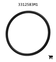 AGCO 3312583M1 Уплотнительное кольцо