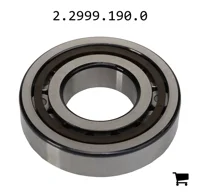 AGCO 2.2999.190.0 Роликовый подшипник