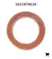 AGCO V615870610 Уплотнительная шайба топливного насоса