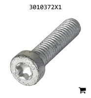 AGCO 3010372X1 Болт с головкой Torx