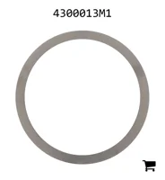 AGCO 4300013M1 Регулировочная шайба