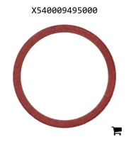 AGCO X540009495000 Уплотнительная шайба