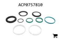 AGCO ACP0757810 Комплект уплотнений