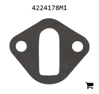 AGCO 4224178M1 Шарнир