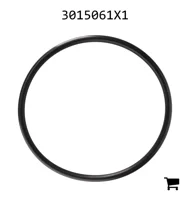 AGCO 3015061X1 Уплотнительное кольцо