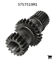 AGCO 3757519M1 Шестерня
