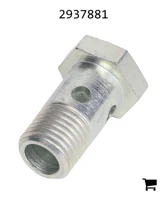 AGCO 2937881 Болт банджо