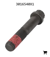 AGCO 3016540X1 Винт с 12-гранной головкой с фланцем