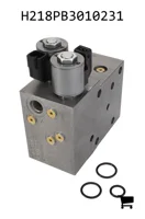 AGCO H218PB3010231 Блок клапанов