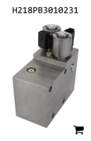 AGCO H218PB3010231 Блок клапанов