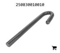 AGCO 250830010010 Замок